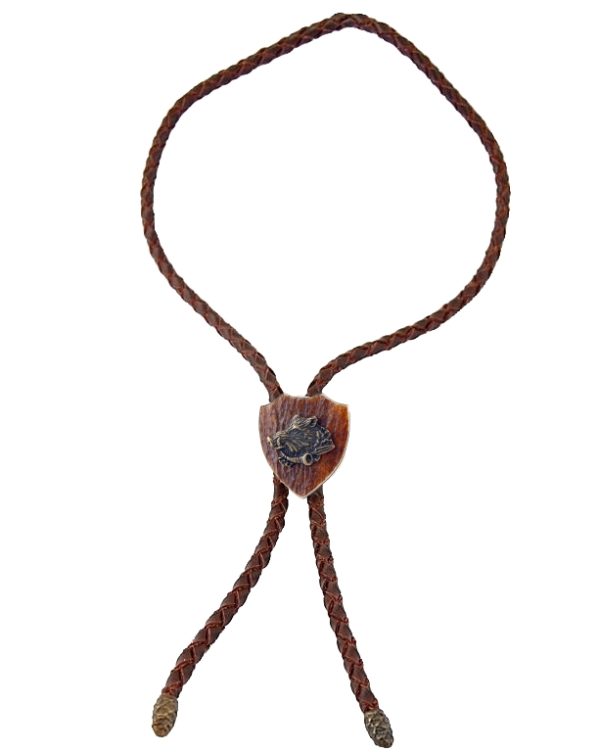 parohove-bolo-erb-polovnik 1