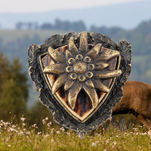 polovnicke bolo H1
